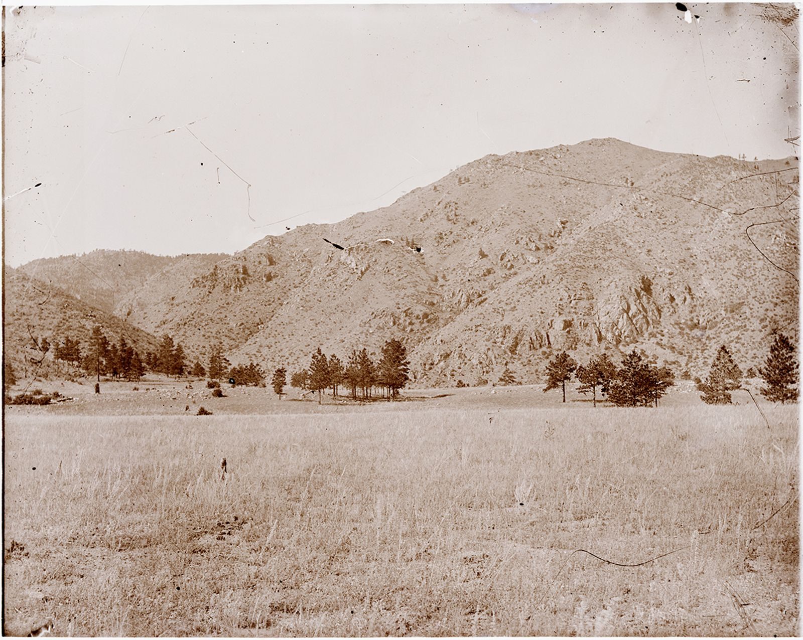 A photograph, 1903. Valley with trees and mountains in distance (Poudre River seepage trip).