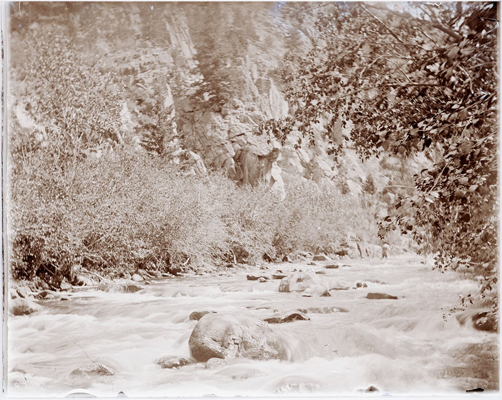 A photograph, 1903. Cache la Poudre River (Poudre River seepage trip).