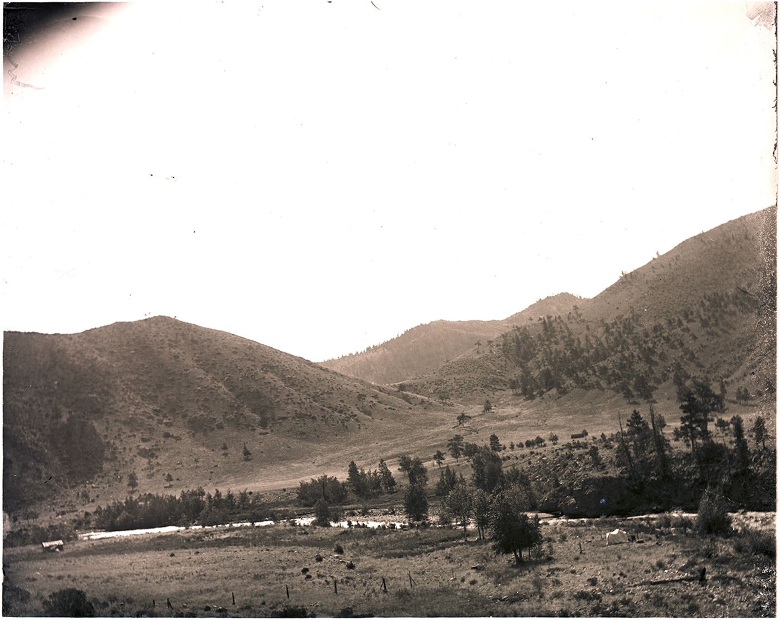 A photograph, 1903. Tent near trees in mountain valley (Poudre River seepage trip).