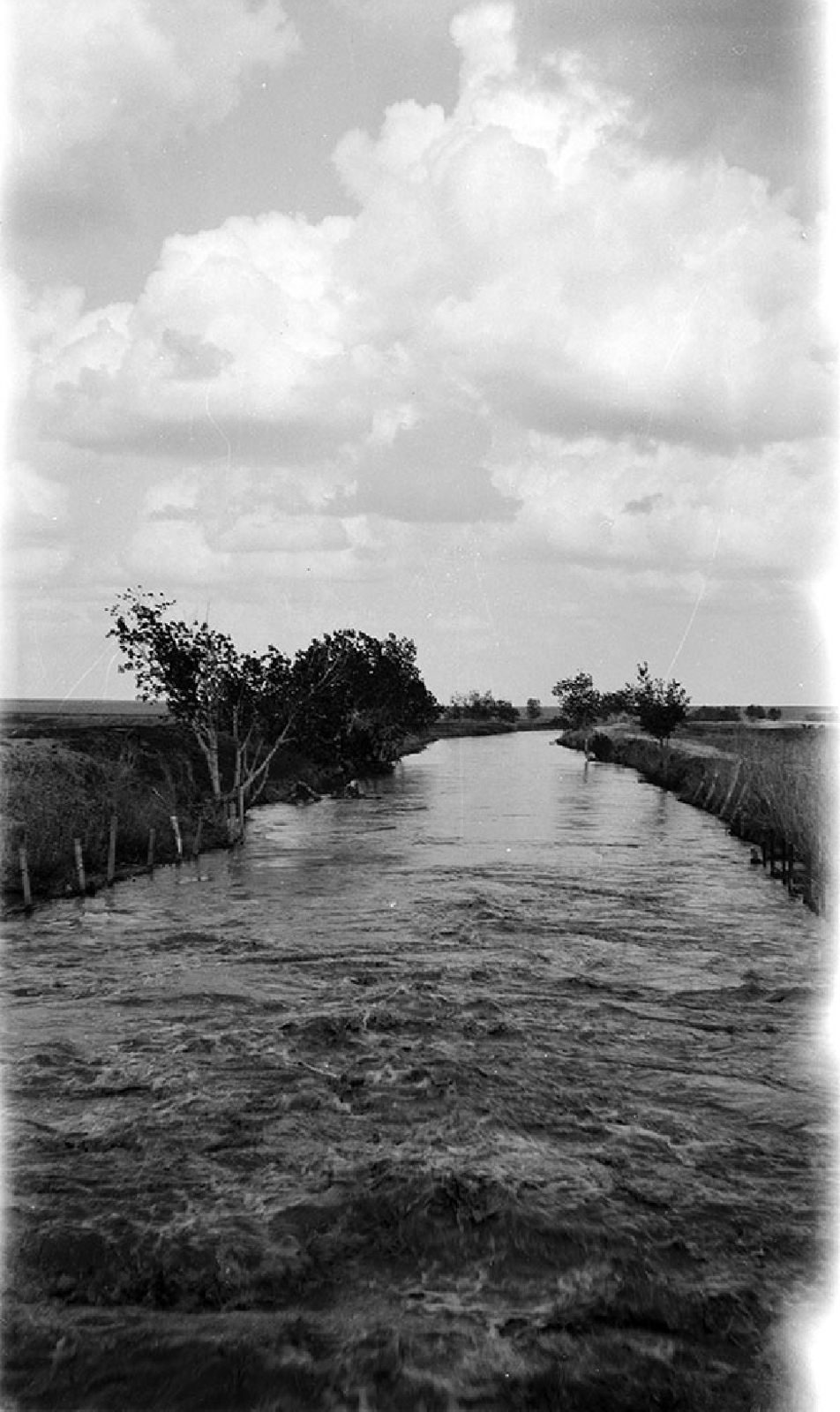A photograph, undated. Nitrate negatives.