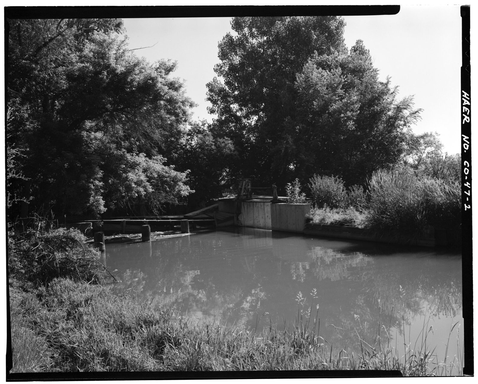 A still, tree-shaded pool where two ditches meet: a timber-and-concrete gate structure with a small footbridge on the far bank, tall grass in the foreground.