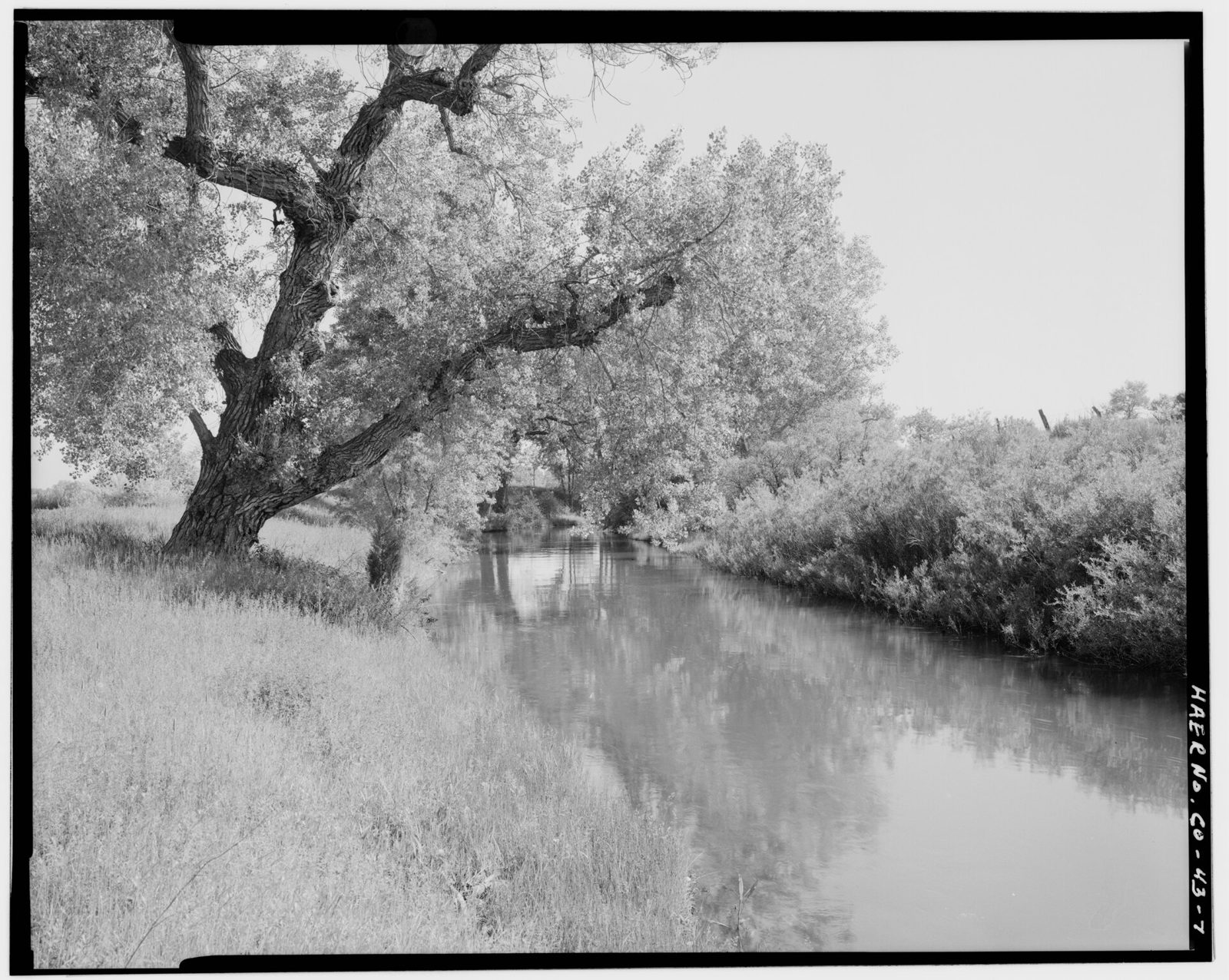 Typical section of canal. View to south.