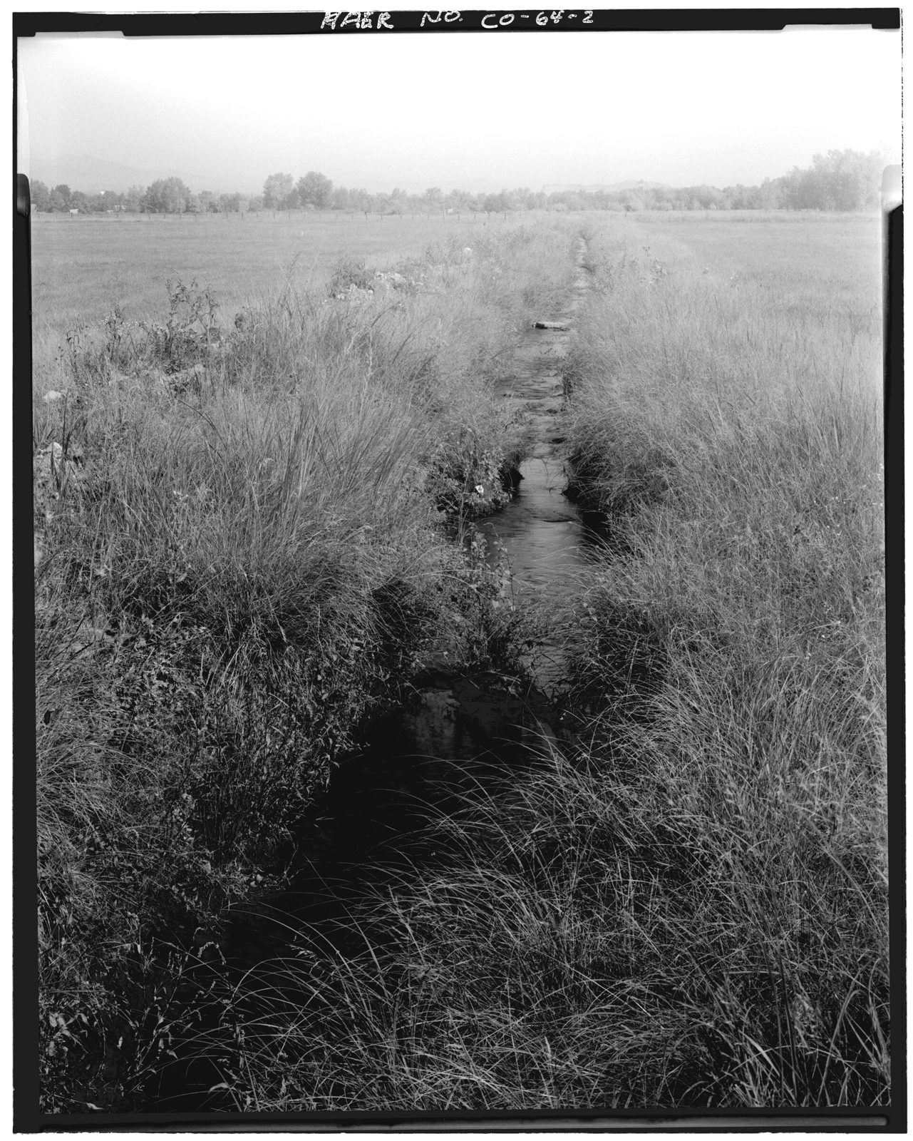 View from south end looking north along the ditch.