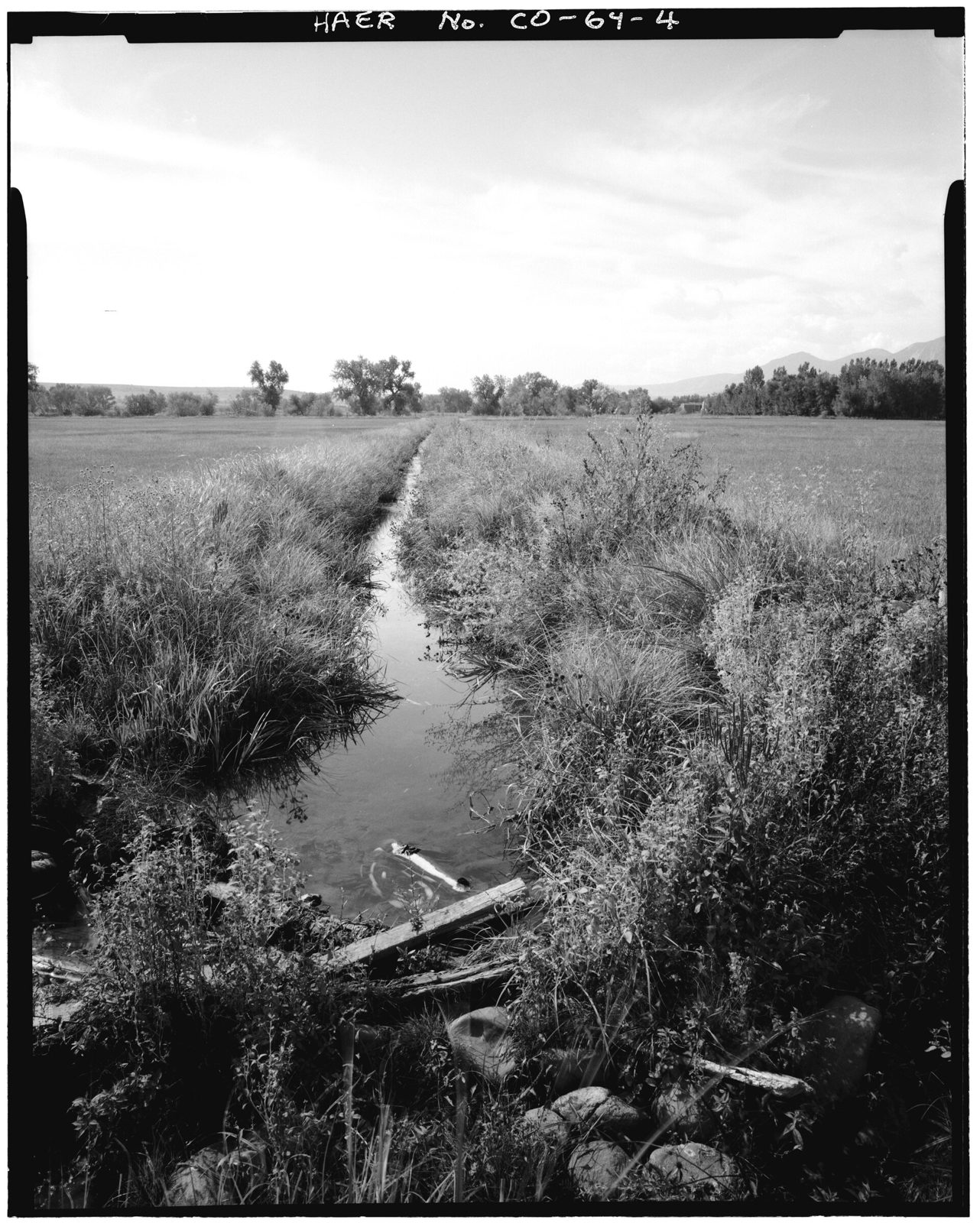 View of mid-point of ditch looking south.