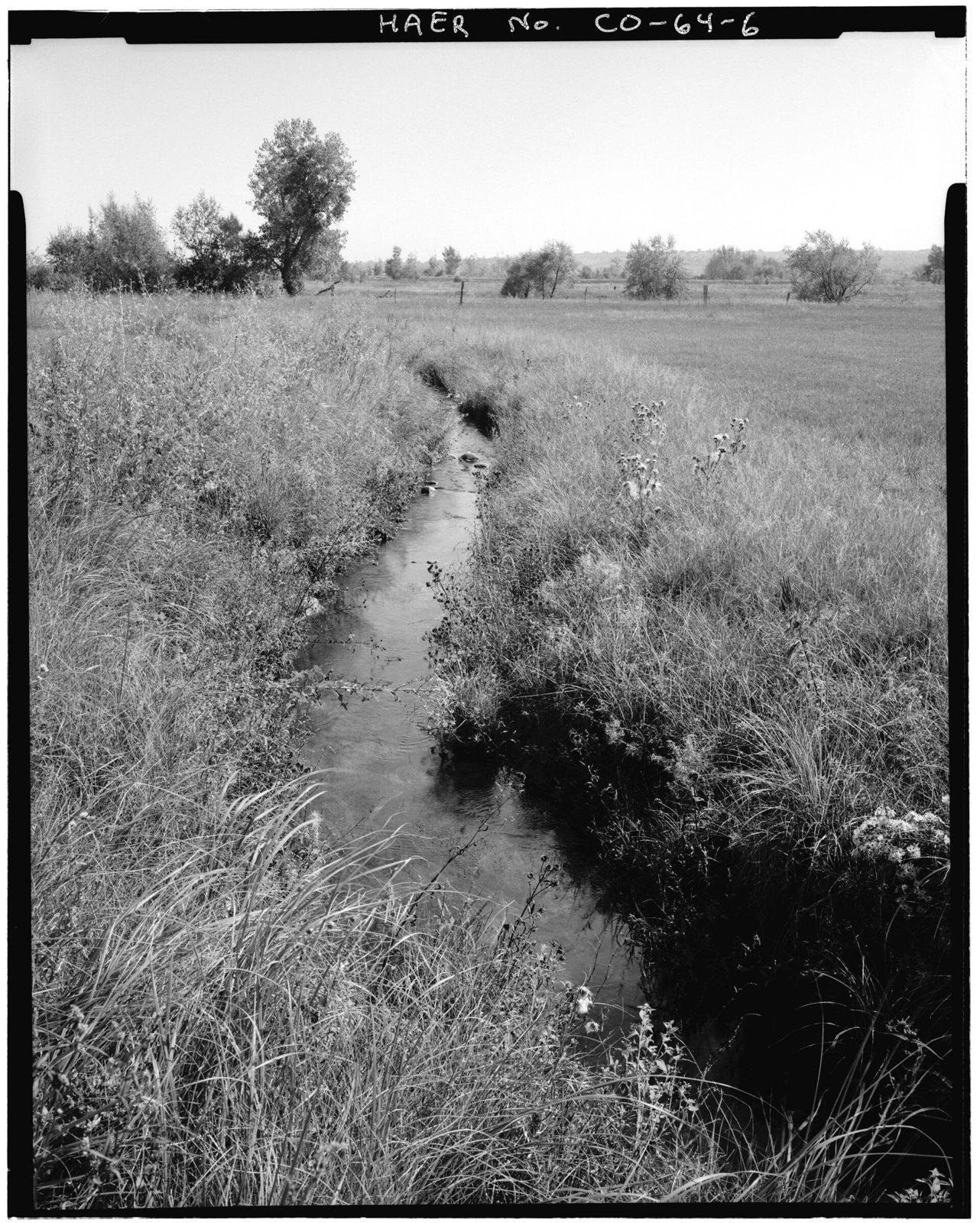View of easterly turn in ditch near north edge of project area looking east.