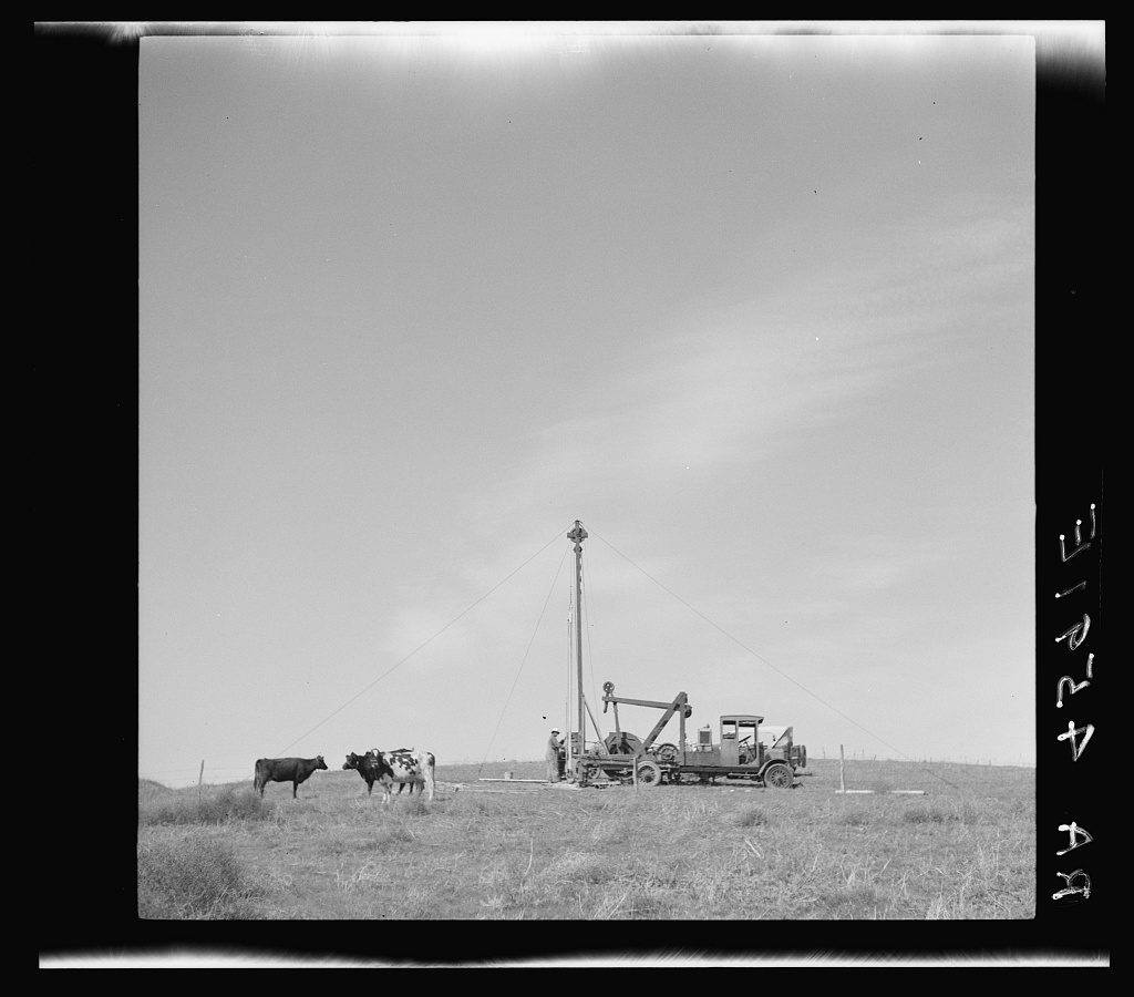 A small truck-mounted drilling rig stands guyed on bare open prairie under a wide sky, two cattle watching from a few yards away.