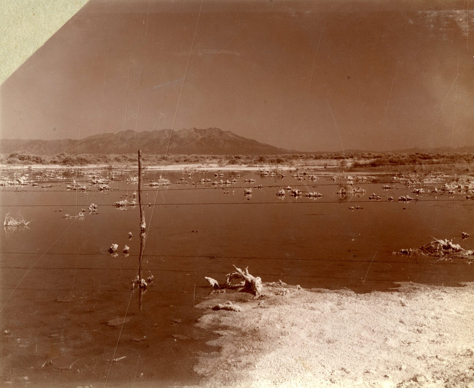 A flat, pale alkali flat stretching to a low horizon, a wire fence running across it and scattered dark debris on the crusted surface.