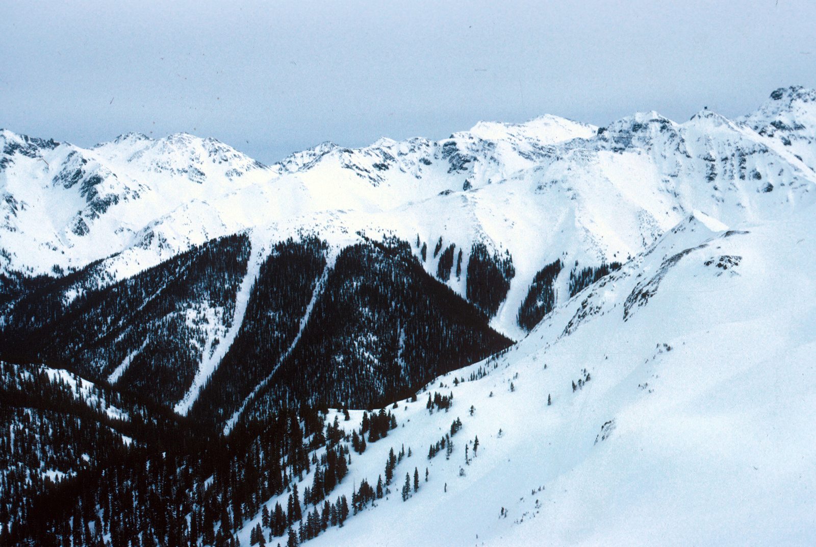 Snow-covered peaks above a valley, with bare avalanche chutes scoured in clean pale lines down through the dark timber.