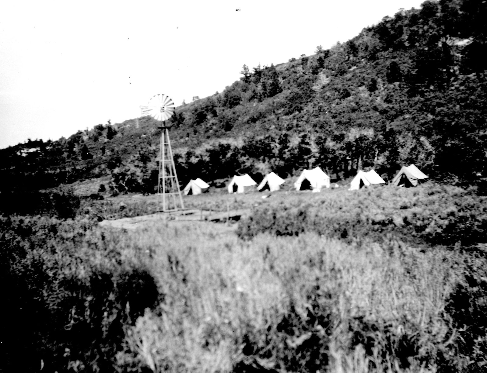 A row of five white canvas tents pitched on a grassy bench below a wooded hillside, with a lattice windmill tower standing to the left of them.