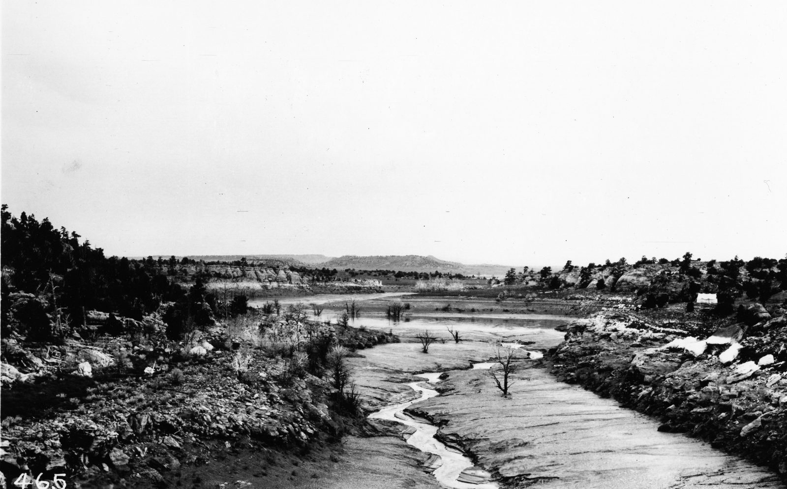 An emptied reservoir basin seen from a dam crest: a braided stream threading a wide flat of pale silt, dead trees standing in it, low bluffs on both sides.