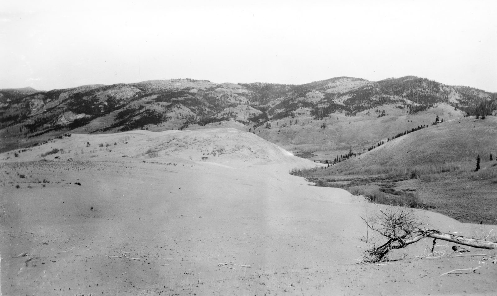 A broad sheet of bare pale sand lying in a grassy basin, dead brush at its lower edge, with low wooded hills along the skyline.