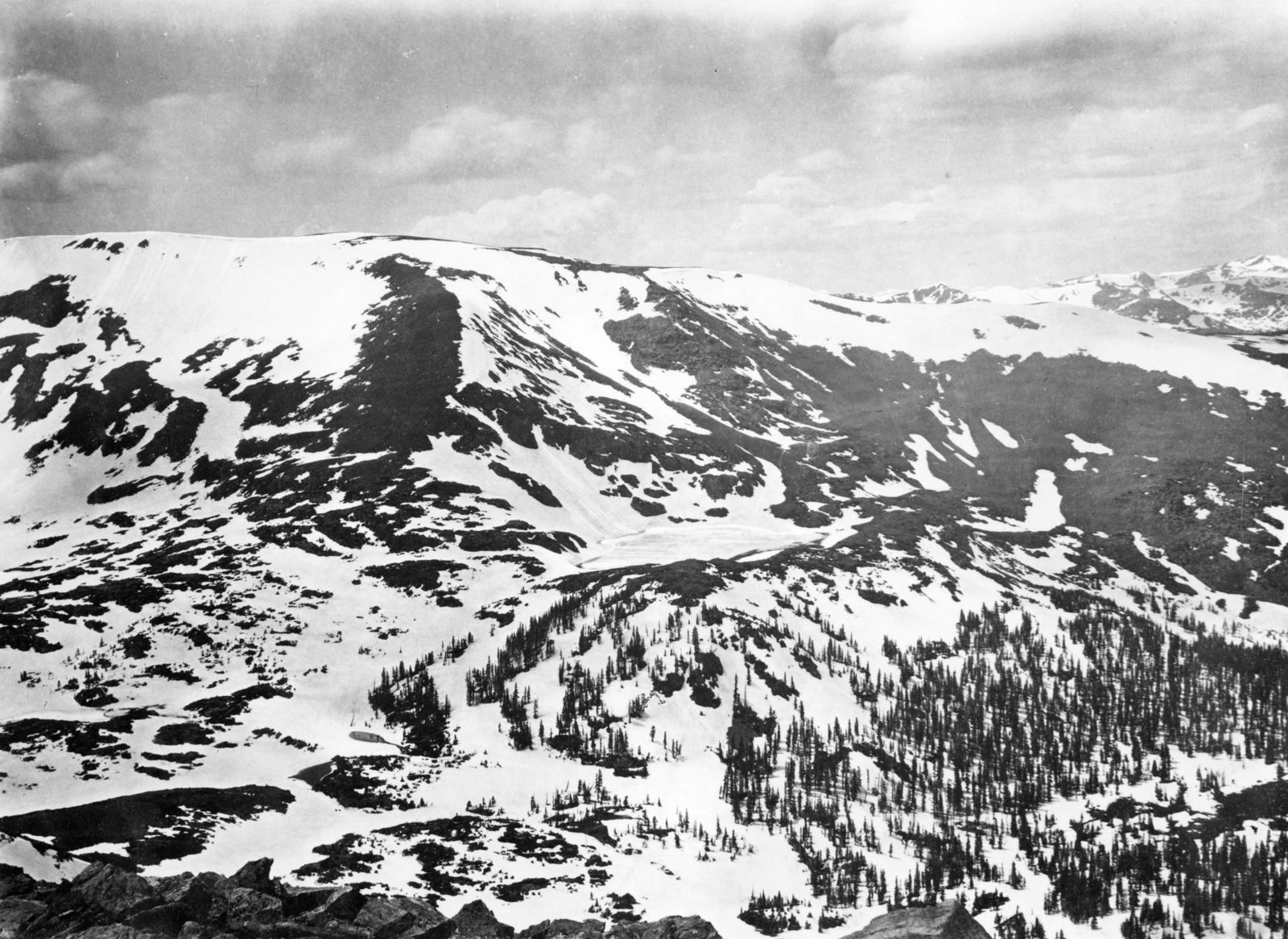 A high range under broad snowfields above timberline, a deep snow-filled valley falling away at the centre, and scattered dark conifers on the slopes below.