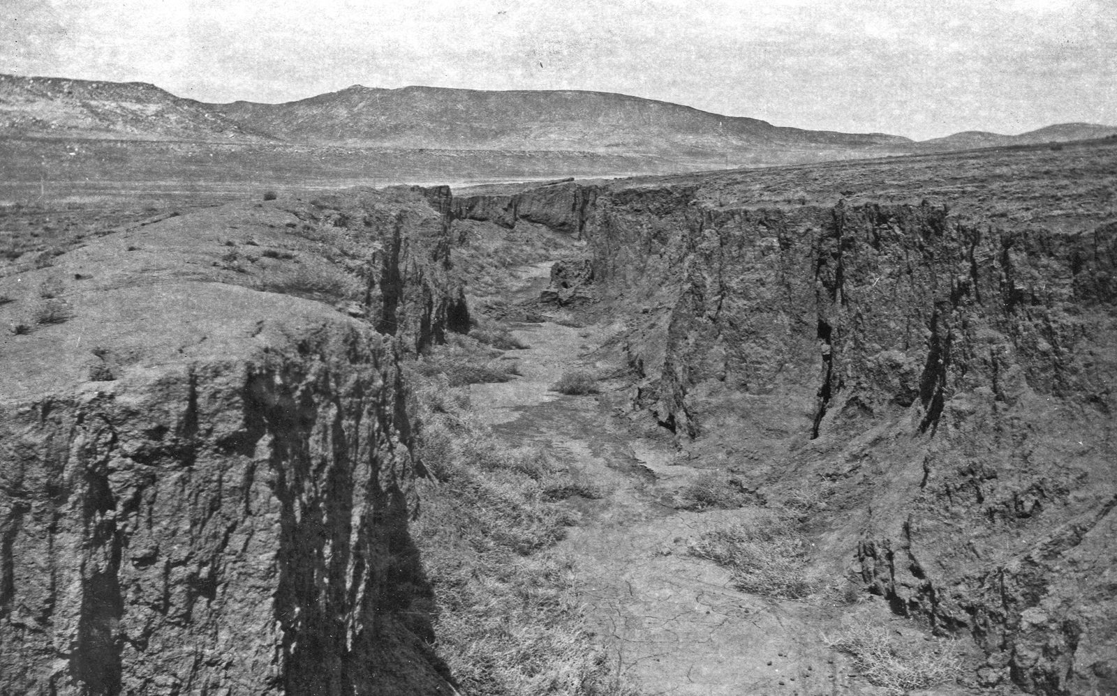 A raw gully cut several feet deep into open grassland, its bare earth walls branching toward the camera, with low hills on the horizon.