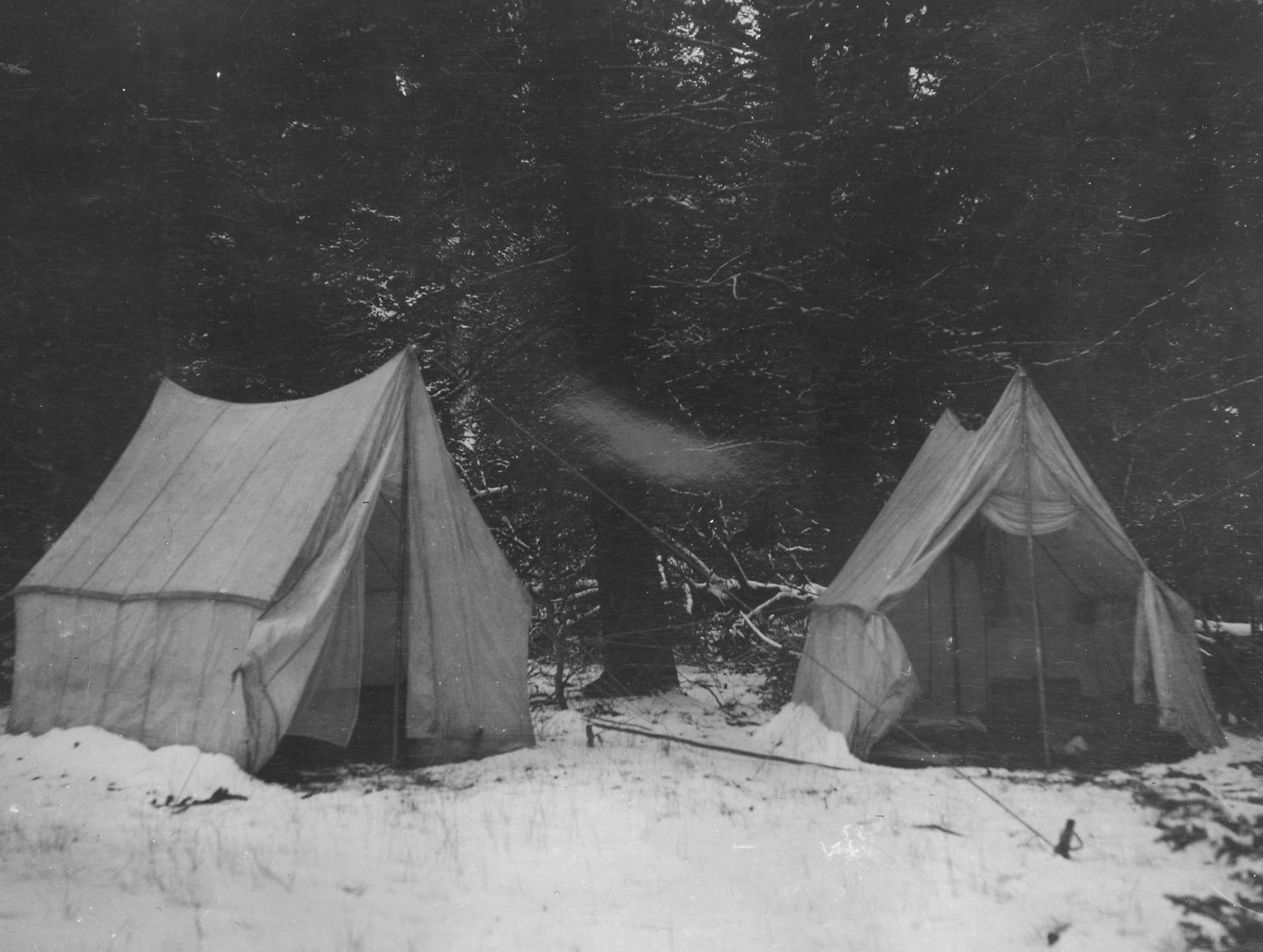 Two canvas wall tents pitched on snow in front of dark spruce, their guy ropes staked into the snow and a pole lying in the foreground.
