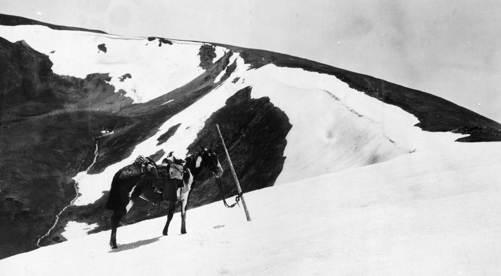 A saddled horse standing alone on a snowbank in a high cirque, a long staff propped in the snow beside it, and the corniced rim of the basin behind.